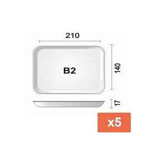 BANDEJA ISOPOR BCA  BDJ 02 B-02 01X100